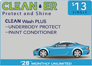 single-cleaner-pitt